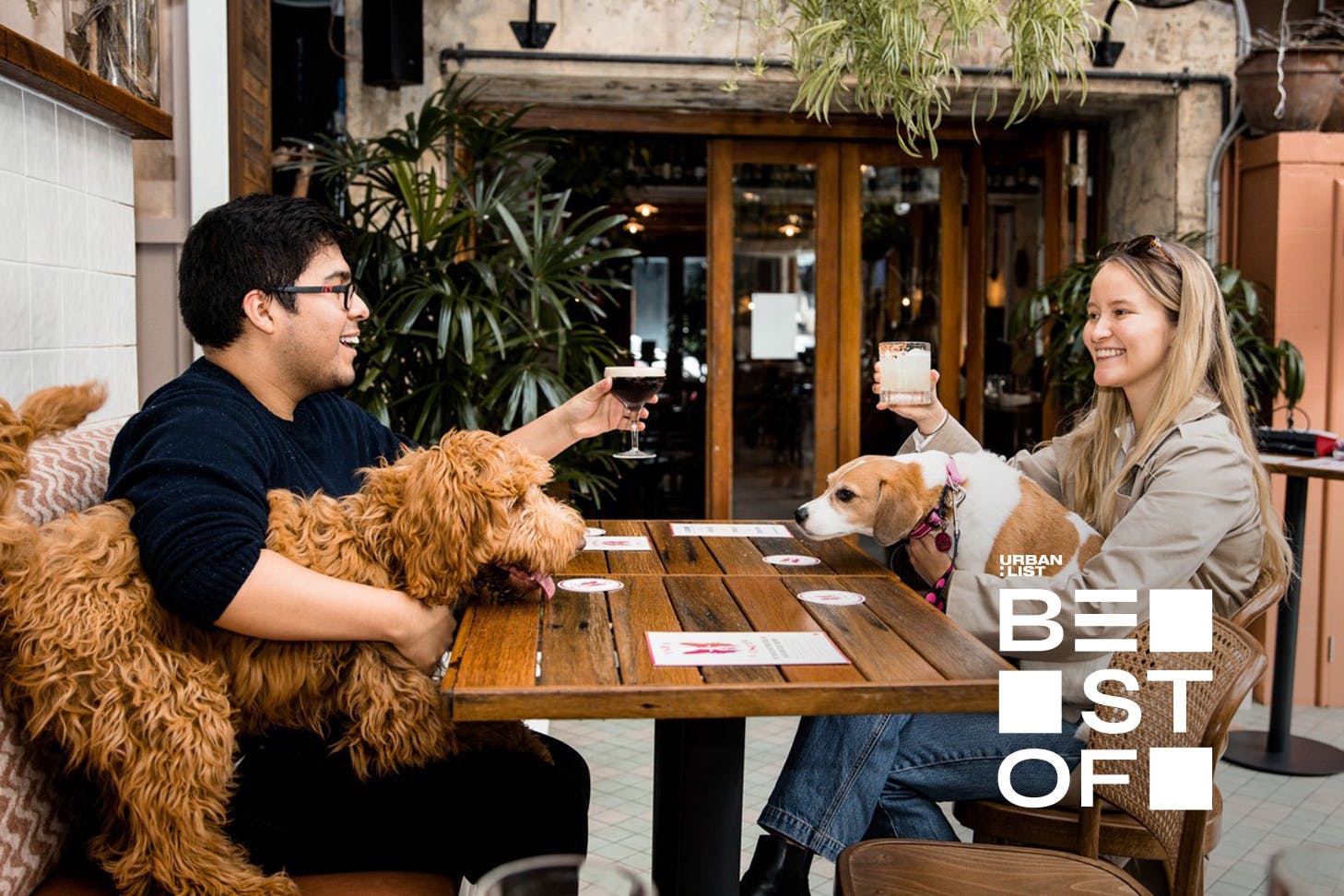 People at the Forrester's pub with their dogs - sydney's best dog-friendly pubs